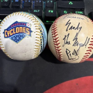 BROOKLYN CYCLONES SIGNED BALL Sandy The Seagull - Picture 1 of 3