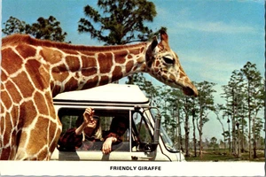 Freundliche Giraffe Löwe Land Safari Vintage unbespielt Postkarte A112 - Bild 1 von 2