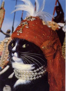 CAT EMPIRE Maharajah of Katpur Art by Weigall VINTAGE POSTCARD 4x6 - Picture 1 of 1