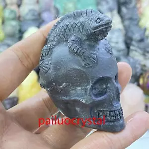 2.3" Natural Unknown Lizard Skull Quartz Crystal Skull Carved Figurines Gem 1pc - Picture 1 of 9