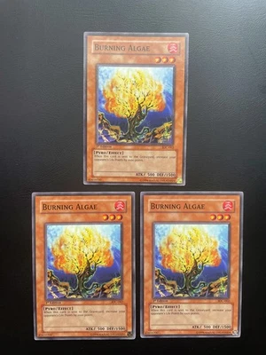Yugioh Burning Algae IOC-062 Common 1st Edition LP/MP X3 - Image 1 of 2
