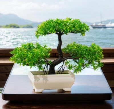 Artificial Bonsai Tree - Fake Potted Plant for Home, Office & Garden Decor - Image 1 of 4