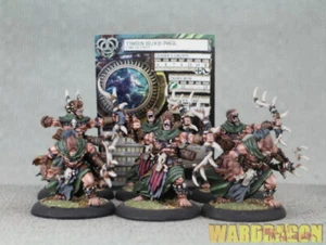 40mm Hordes WDS painted Circle Orboros Tharn Blood Pack ww39 - Picture 1 of 9