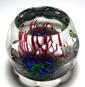 Perthshire Annual Collection 1981C Limited Edition Magnum Aquarium Paperweight - Picture 1 of 10