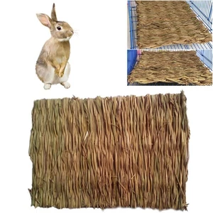 2 Pcs Large Size Rabbit Chew Mat Seagrass Mats Toy Straw for Rabbits - Picture 1 of 11