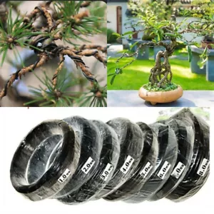 5m/10m Bonsai Draht aus eloxiertem Aluminium, Schwarz für deinen Bonsai - Picture 1 of 22