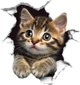 Linda calcomanía de vinilo marrón para gato con flores multiusos para computadora portátil teléfono pared inodoro - Imagen 1 de 6
