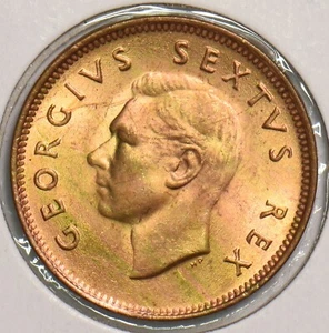 South Africa 1950 1/4 Penny Cape Sparrow 299625 combine shipping - Picture 1 of 2