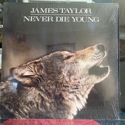 James Taylor - Never Die Young (1988 Vinyl LP) “Valentine’s Day” “T-Bone” - Image 1 of 4