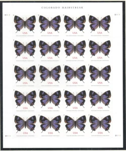 Mint US Colorado Hairstreak Butterfly Pane of 20 Stamps Sheet Scott# 5568 (MNH) - Picture 1 of 1