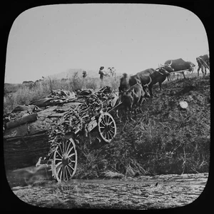 Magic Lantern Slide SKIN TRADERS WAGON NATAL C1895 PHOTO SOUTH AFRICA - Picture 1 of 3