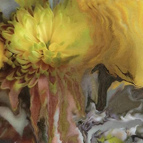 Parker Millsap - Wilderness Within You [CD] - Image 1 of 1