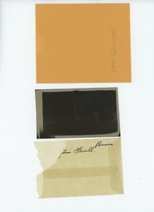 St Louis Browns Acetate Negative Original Brearley Estate group picture - Picture 1 of 2