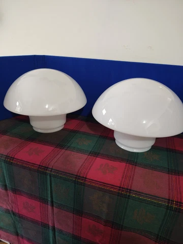 Vintage Milk Glass School House Globes (2) Cover