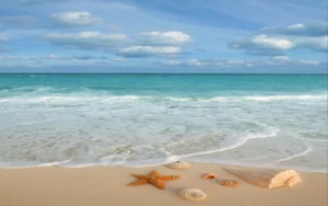 3D Ocean Beach 77 Floor WallPaper Murals Wall Print Decal AJ WALLPAPER US Carly - Picture 1 of 6