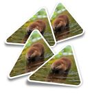 4x Triangle Stickers - North American Beaver Kit Baby #15569