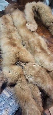vintage mink stole  4 pelts from 1940's - Image 1 of 3