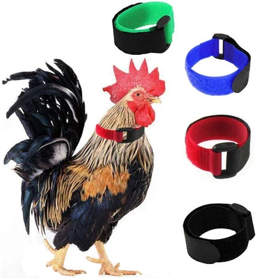 Paquete de 4 cinturones de nailon ajustables con cuello de gallo sin cuervo para aves de corral duraderos Foto 1 de 4