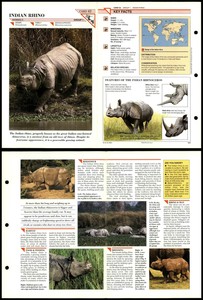 Indian Rhino #42 Mammals Wildlife Fact File Fold-Out Card