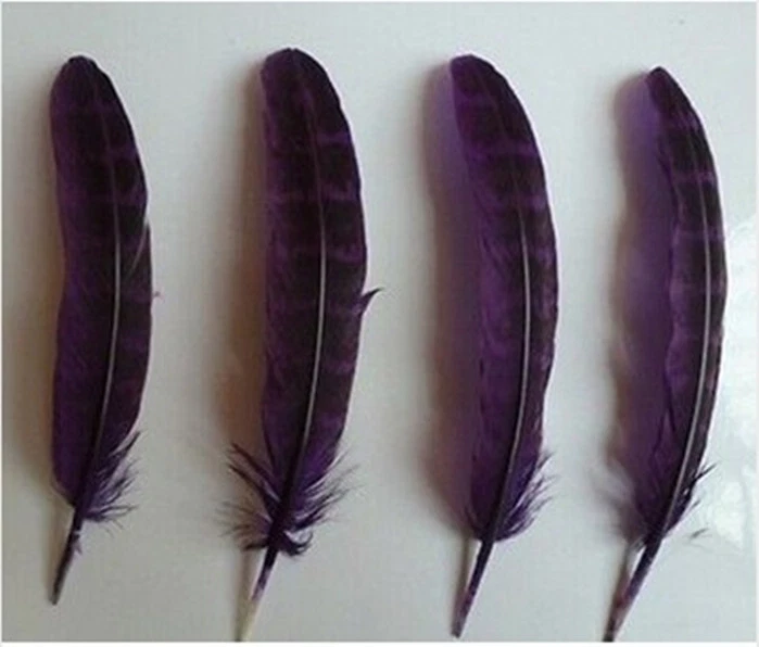 Wholesale 10-200 PCS beautiful 10-15cm/4-6" male nest chicken feathers DIY - Image 1 of 1
