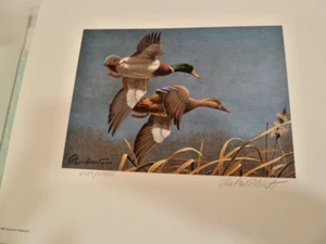 RW47 1980 - Federal Duck Stamp and Print by Richard Plasschaert - Picture 1 of 3