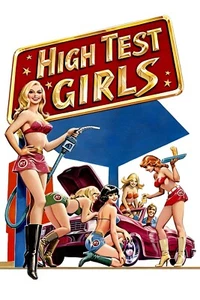 High Test Girls 1980 Brigitte Lahaie Adult Movie Poster Wall Art Sexploitation - Picture 1 of 1