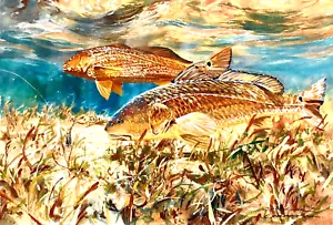 Chance Yarbrough Ransom Island Reds GiClee mezzo foglio acqua salata come nuovo - senza cornice - Foto 1 di 8