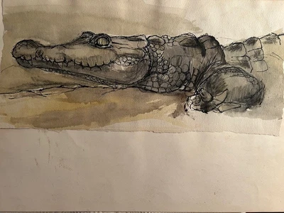 De colección. Boceto original de tinta y acuarela de un cocodrilo Foto 1 de 4