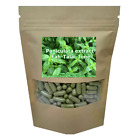 Andrographis paniculata leaves 300 capsules Size 500 mg/Caps Free Shipping