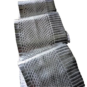 Metallic Snake Skin SNAKESKIN Genuine skin w/ Clean Natural Scales Craft Silver - Picture 1 of 3