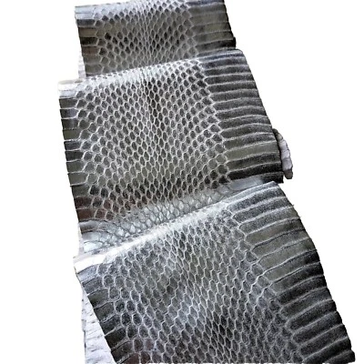 Metallic Snake Skin SNAKESKIN Genuine skin w/ Clean Natural Scales Craft Silver - Image 1 of 3