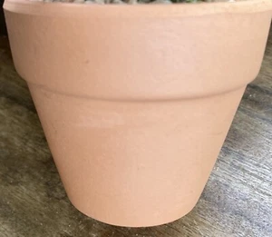 Add On Pot To Order Terracotta Pot 65mm Plant Ornament Succulents Cacti - Picture 1 of 1