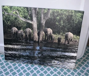 Easy canvas Prints elephants wall decor - Picture 1 of 9