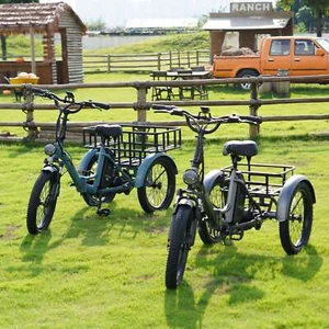 [Fafrees F20 Mate] Triciclo Elettrico 20 Pollici 3 Ruote Bicicletta con Cestino Bici Elettrica - Foto 1 di 21