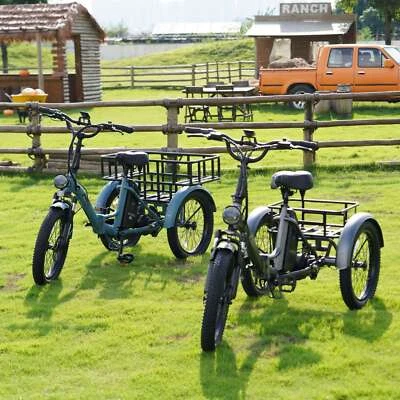 [Fafrees F20 Mate] 20 Zoll Elektro Dreirad 3-Rad Fahrrad mit Korb Elektrofahrrad - Bild 1 von 4