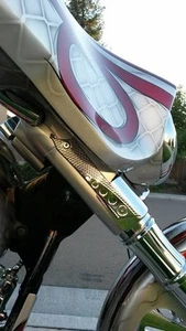 Eliminadores de señal de giro cromados Harley Street Glide 2006 hasta la actualidad - Imagen 1 de 6