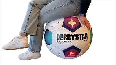 Derbystar Sitzball Bundesliga Brillant APS 2023/2024 - Umfang 180cm - 882034 - Bild 1 von 2