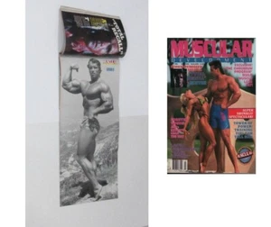 Muscular Development 07/1990 Laura Creavalle Cory Everson Arnold Poster - Picture 1 of 16