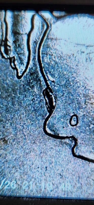 2007-P Wyoming "Pooping Horse" Large Die Chip State Quarter Mint Luster - Image 1 of 4