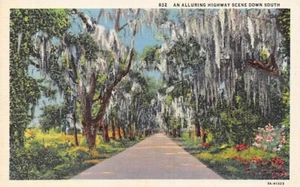 Postcard US: Alluring Highway Scene Down South, Vintage Linen, Unposted 1940's - Picture 1 of 2