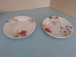 Juego de campos botánicos de cerámica Longaberger/2 platos de almuerzo 9" NUEVO sin caja - Imagen 1 de 4