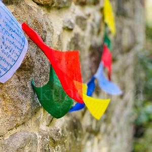 Tibetan Buddhist Prayer Flag, Wind Horse printed, Handmade in Nepal, Hippie Boho - Picture 1 of 7