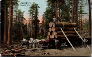 Merrill Wisconsin~Logging Scene~Logs on RR Flat Car~Lumberjacks~Horses~c1910 JF9 - Picture 1 of 2
