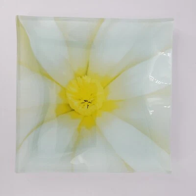 Hermoso Plato de Aperitivo de Vidrio Cuadrado Floral Giftcraft Home 5.5" Esmerilado Trasero Foto 1 de 4