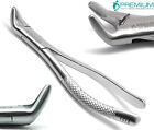 Dental Extracting Forceps 151s Surgical Tooth Extraction 6" Premium Instruments