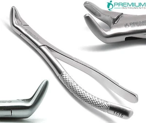 Dental Extracting Forceps 151s Surgical Tooth Extraction 6" Premium Instruments - Picture 1 of 6