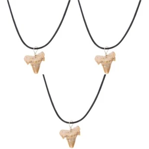 3 Count Haifischzahn-Anhänger Haizahn-Halskette Für Männer Mit Mann - Bild 1 von 12