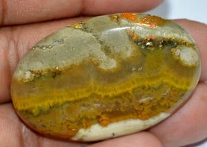 58,30 quilates colgante fósil de coral crisantemo 100 % natural no tratado muestra de uso - Imagen 1 de 4