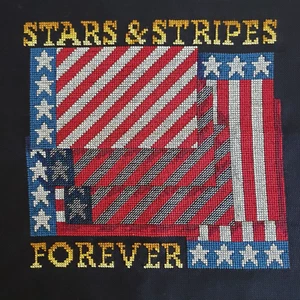 Handmade Cross Stitched Stars & Stripes Forever Finished Pillow Cover Wall Art - Picture 1 of 7