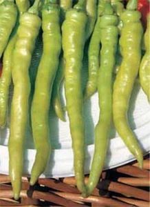 SWEET PEPPER GREEN PEPPERONI - LOMBARDO (80 SEEDS) - Picture 1 of 1